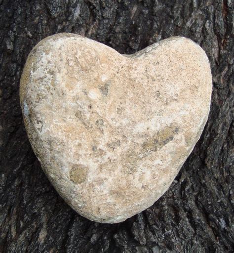 Heart-Shaped Stones: A Timeless Treasure of Nature