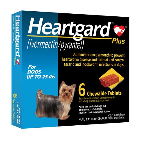 Heartgard: 守護愛犬心臟、預防心絲蟲的專家