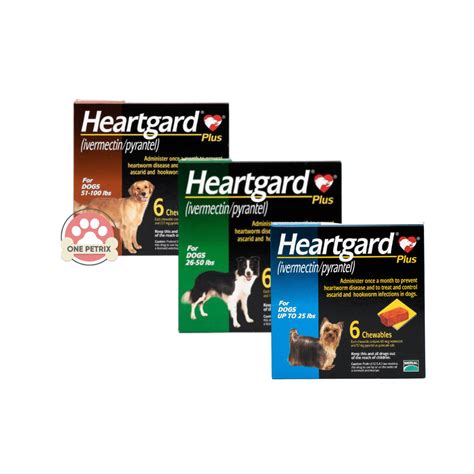 Heartgard® 在香港：全面預防犬隻心絲蟲感染的指南