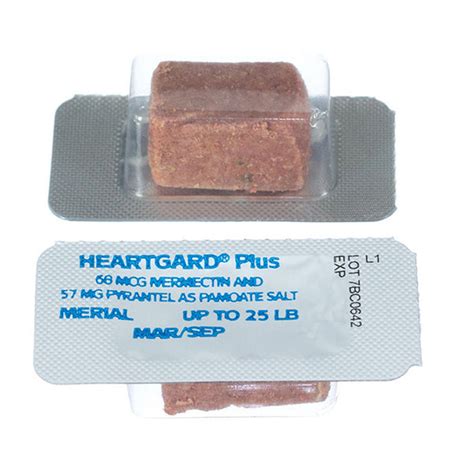 Heartgard 香港：你的愛犬的心臟健康守護者