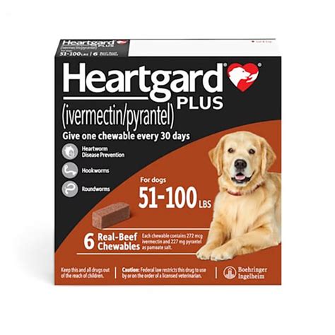 Heartgard 香港：保護你的愛犬免受心絲蟲侵害的終極指南