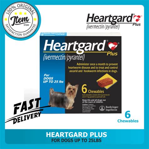 Heartgard 香港：全面保障寵物心臟健康的良藥