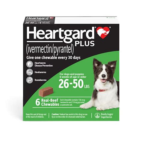 Heartgard 香港：守護愛犬心臟健康的終極選擇