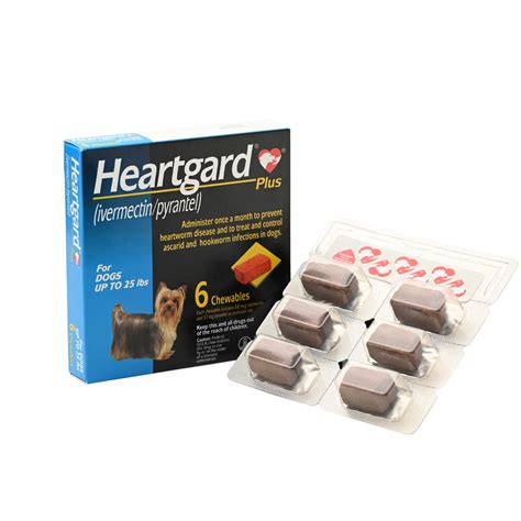 Heartgard 香港：守護毛孩心臟的利器