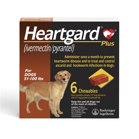 Heartgard HK：全方位守護愛犬健康