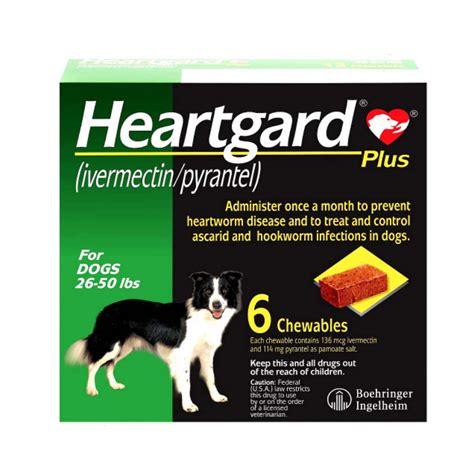 Heartgard HK：守護愛犬心的全方位防護