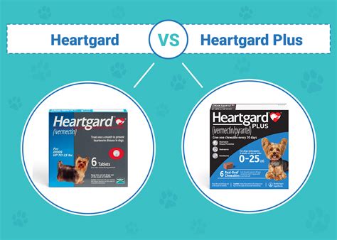 Heartgard vs Heartgard Plus: The Ultimate 10,000+ Word Comparison