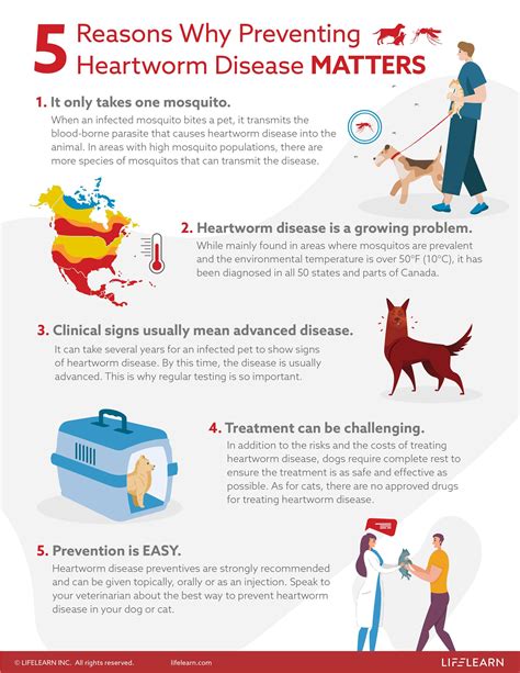 Heartworm Treatment for Dogs: Your Essential 10,000-Character Guide