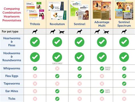 Heartworm and Flea Control for Dogs: A Comprehensive Guide