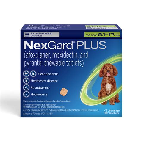 Heartworm and Flea Med: The Essential Protection for Your Pets