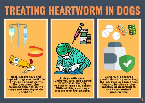 Heartworms in Dogs: A Guide to Symptoms, Prevention, and Treatment