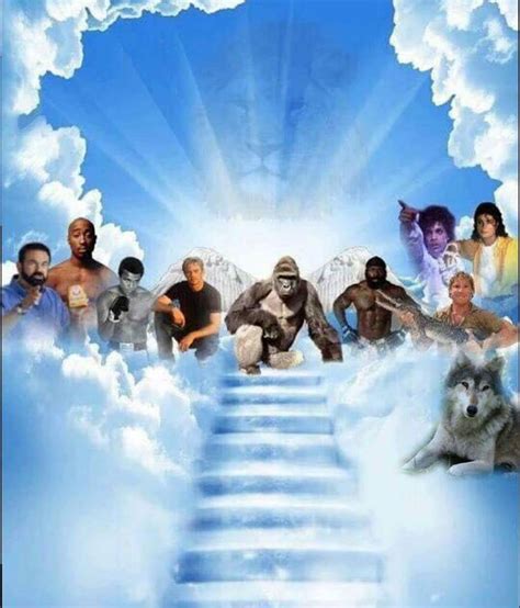 Heaven Meme Template