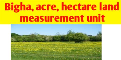 Hectare - An In-depth Look at the Versatile Unit of Land Measurement