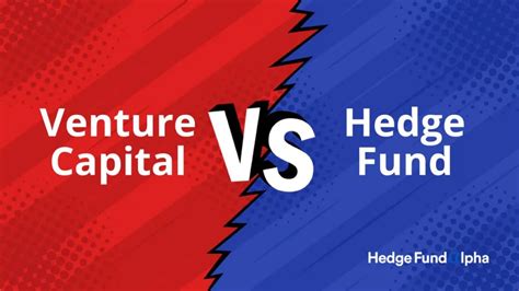 Hedge Fund vs Venture Capital: A Comprehensive Comparison