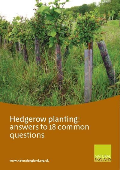 Hedgerow Planting Answers To 18 Common Questions Epub