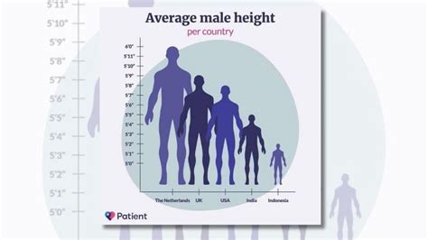 Height Averages: