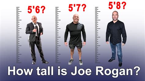 Height and Weight: Unveiling the Dimensions