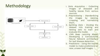 Heleen Medina: Unlocking the Potential of Automated Disease Detection