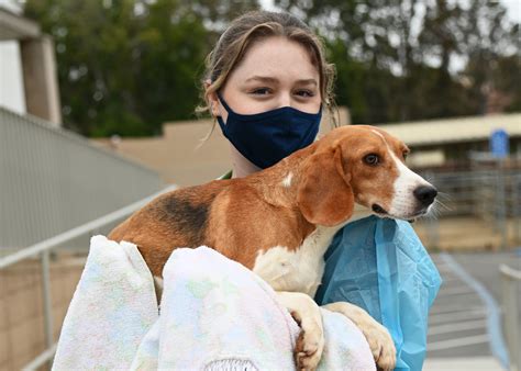 Helen Woodward Animal Center: 10,000 Lives Saved and Counting