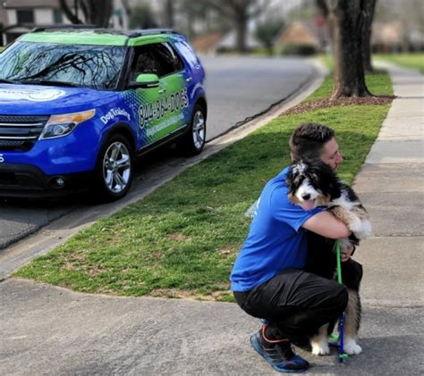 Helper Dogs for Anxiety: A Lifeline to Serenity