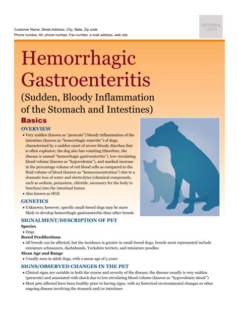 Hemorrhagic Gastroenteritis: A Serious Condition