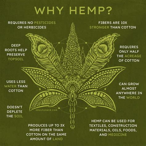 Hemp Shirt Mens: Why It Matters