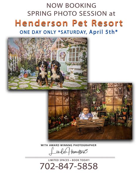 Henderson Pet Resort Henderson NV: A Comprehensive Guide