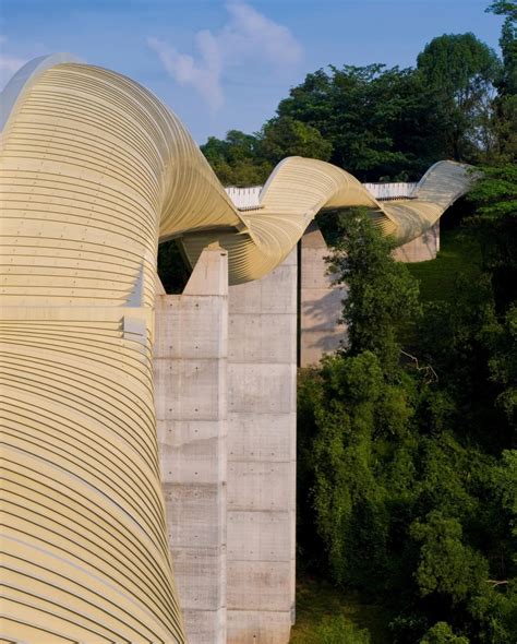 Henderson Waves Trail: 274-Meter Unforgettable Stroll Above the Clouds