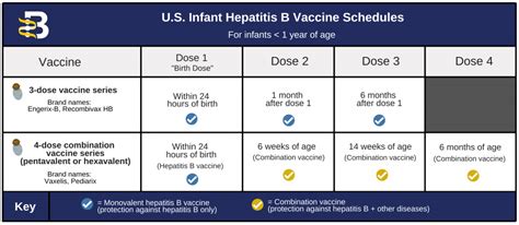 Hepatitis B Vaccine Singapore: FAQs, Effectiveness, 4 Important Tables