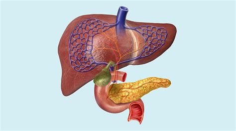 Hepatobiliary Disorders: