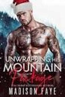 Her Mountain Baby Daddies Blackthorn Mountain Men Book 3 PDF