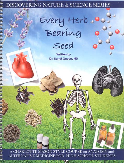 Herb Bearing Seeds: The Ultimate Guide to Success