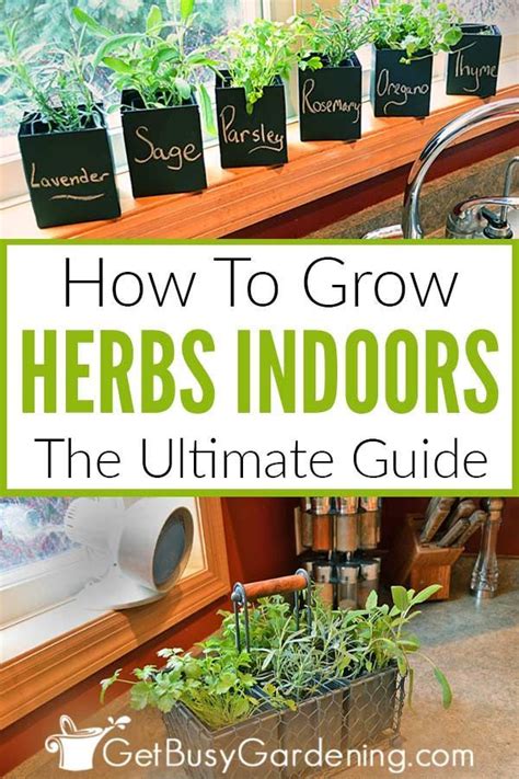 Herb Gardening A Beginners Guide To Growing Herbs At Home Doc