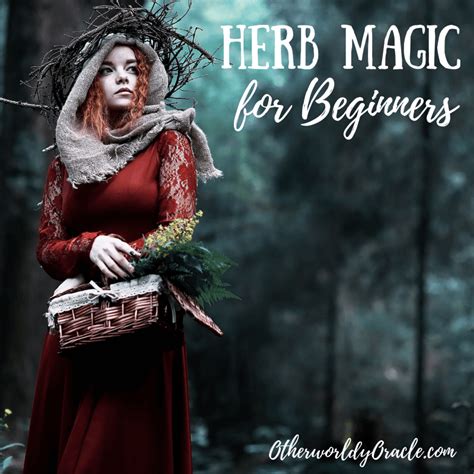 Herb Magic for Beginners Kindle Editon