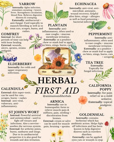 Herbal First Aid Doc