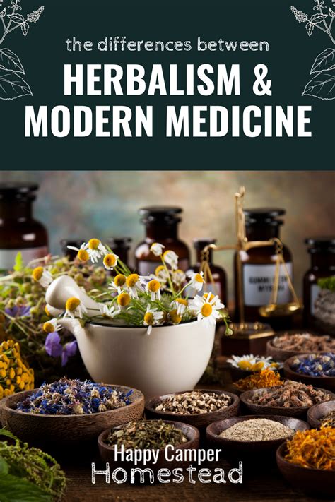 Herbalism: A Holistic Approach to Natural Healing