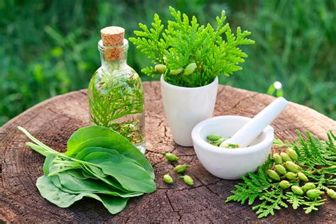 Herbalism and Natural Healing: