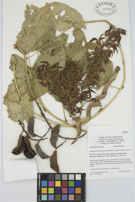 Herbarium Epub