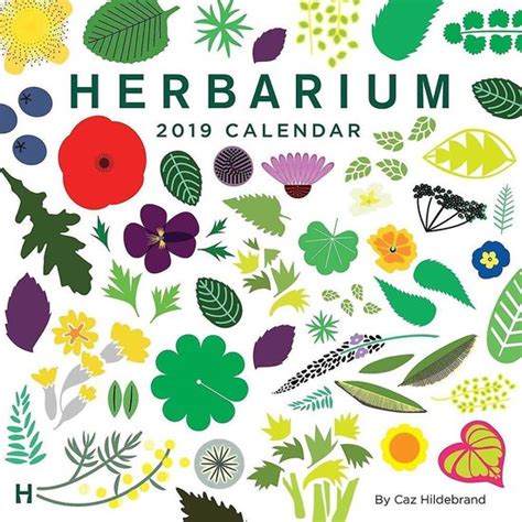 Herbarium 2019 Wall Calendar Epub