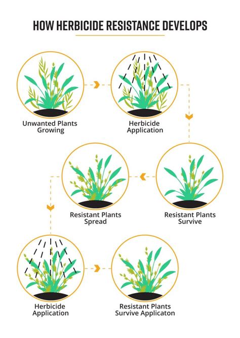 Herbicide Resistance in Plants Epub