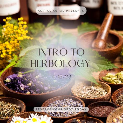 Herbology for Home Study: An Introduction to the Art of Medicinal Plants