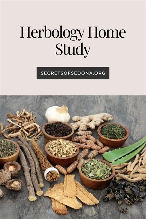 Herbology for Home Study: Unlocking Nature's Healing Wisdom