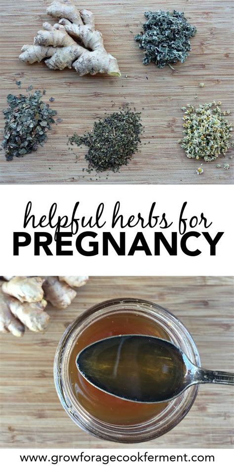 Herbs for A Healthy Pregnancy PDF