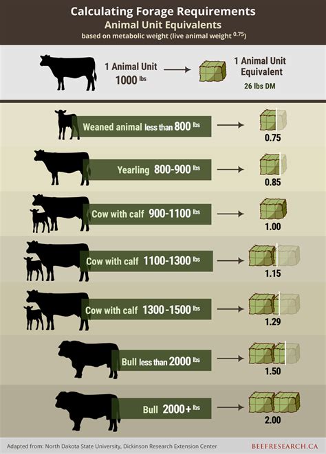 Herd size and feed requirements: