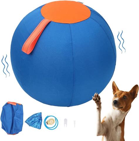 Herding Ball for Dogs with Obesity: A Revolutionary Way to Shed Pounds in 2025