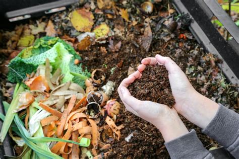 Here are some of the factors to consider when choosing a compost making machine: