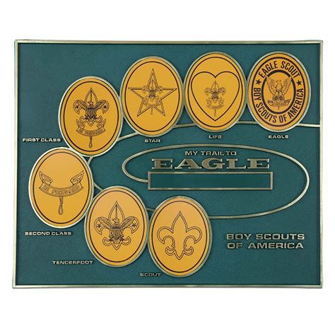 Here are some of the skills and qualities that Eagle Scouts develop: