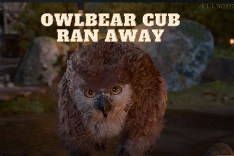 Here are some tips on what to do if your owlbear cub has run away: