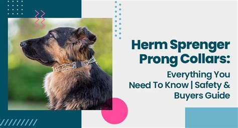 Herm Sprenger Dog Collar: 10 Essential Guide to Safe & Humane Training