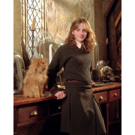 Hermione Granger's Cat: A Literary Enigma and Feline Companion